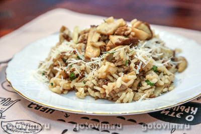     (Risotto ai funghi e prezzemolo). -