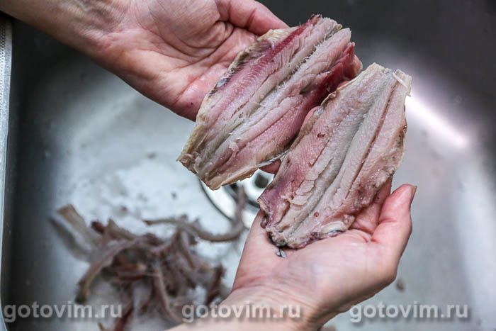 ���� ������ � ���� � ����, �������� � �����������, ��� 01