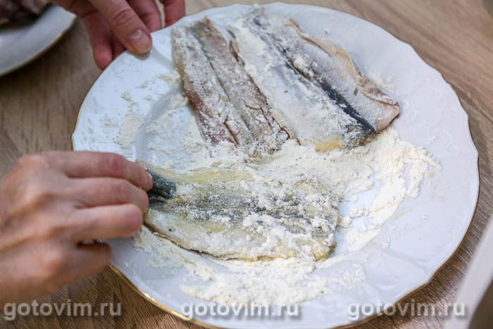 ���� ������ � ���� � ����, �������� � �����������, ��� 06