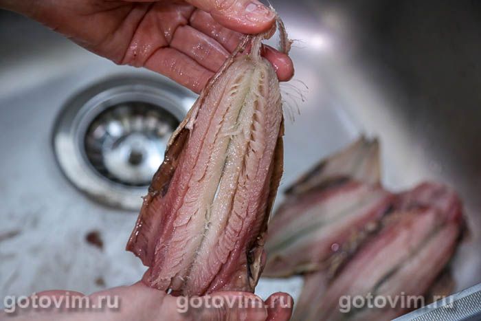 ������ � �������� � �����������, ��� 01