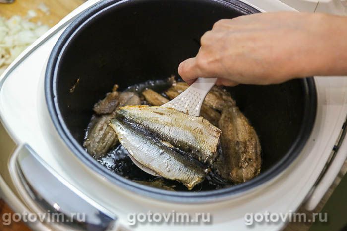 ������ � �������� � �����������, ��� 03