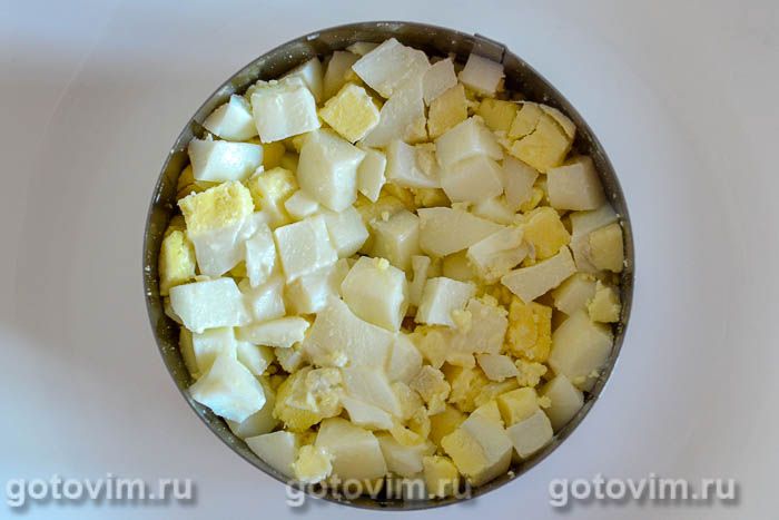   ,  08