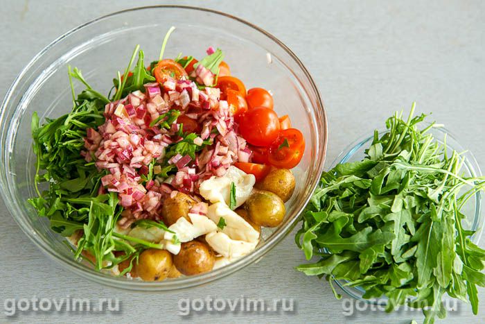 ����� �� �������� ��������� � ������� ���������, ��� 06