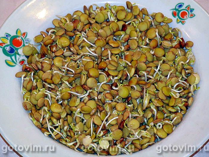 ����� � ����������� ��������� , ��� 01