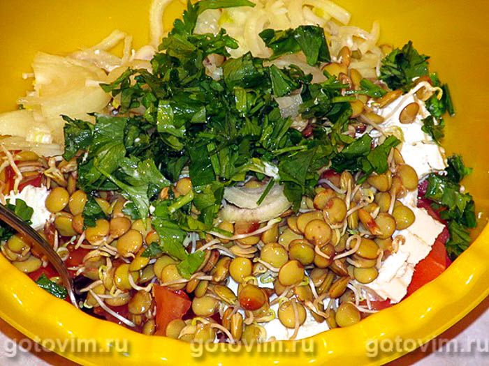 ����� � ����������� ��������� , ��� 04