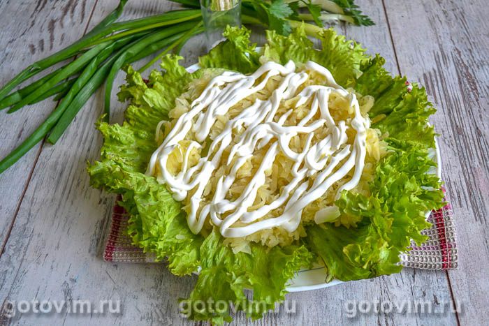 ������� ����� � ������� ������ ���, ��� 04