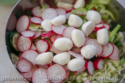Салат из молодой капусты с огурцом, редисом и сыром моцарелла, Шаг 05