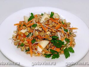 Витаминный салат с пророщенной чечевицей