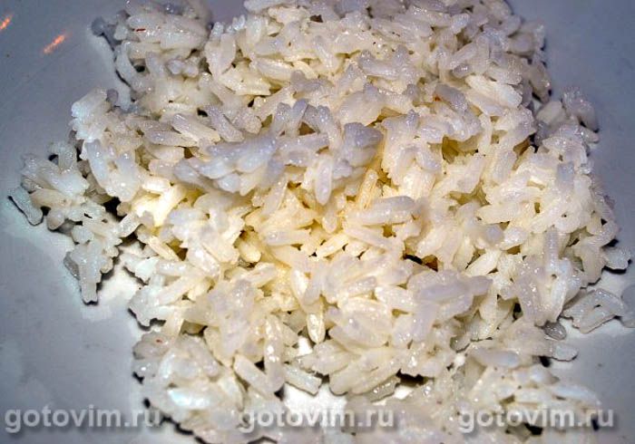 ������� ������ �����, ��� 01