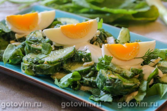 Салат из щавеля с яйцом и огурцом. Фотография рецепта