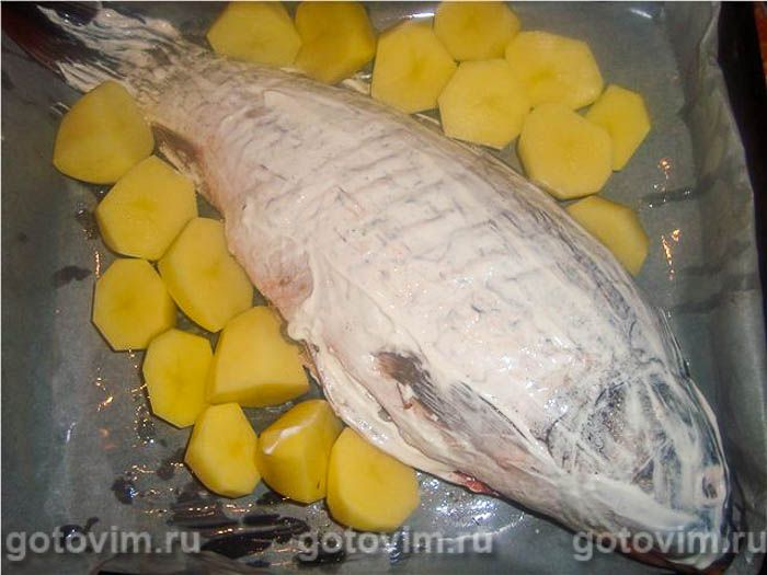 �����, ������������� ����� � ��������, ��� 03