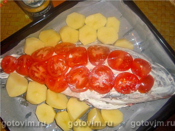 �����, ������������� ����� � ��������, ��� 04