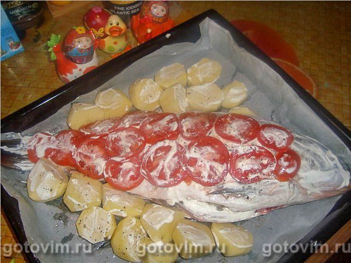 �����, ������������� ����� � ��������, ��� 05