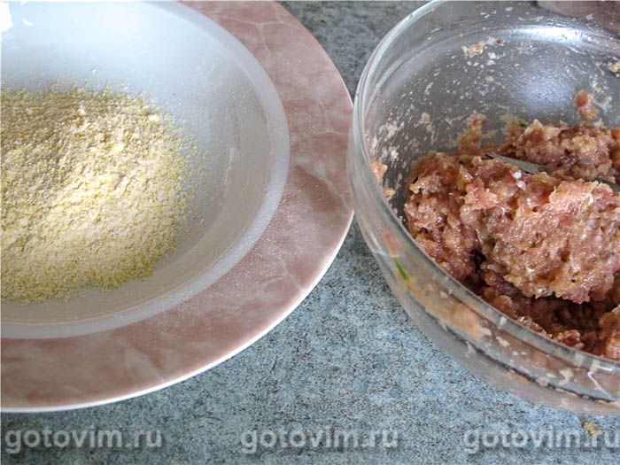   (Scotch Collops) ,  01