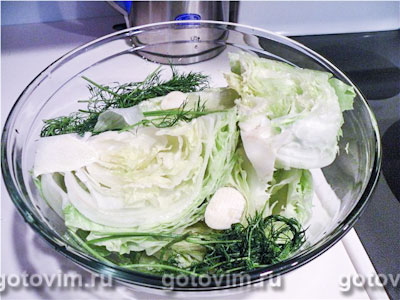 Закуска из маринованного зеленого салат (Шарлота). Фото-рецепт