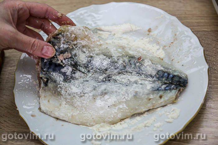 ��������, �������� � ����������� � ��������� � ��������, ��������� � �������, ��� 02