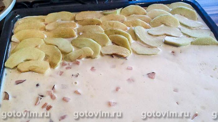        ,  06