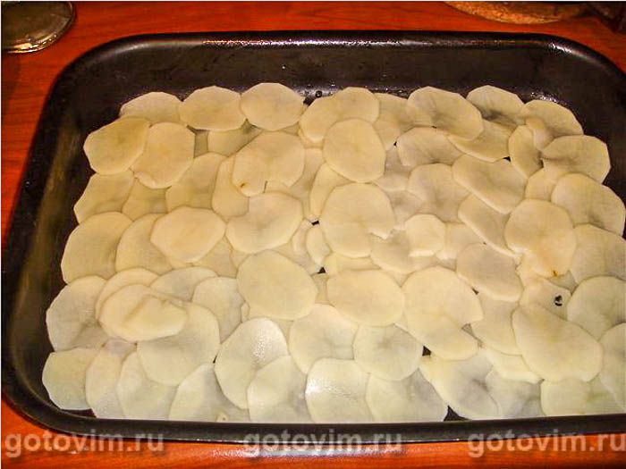 ������������ ��������� � ����� , ��� 01