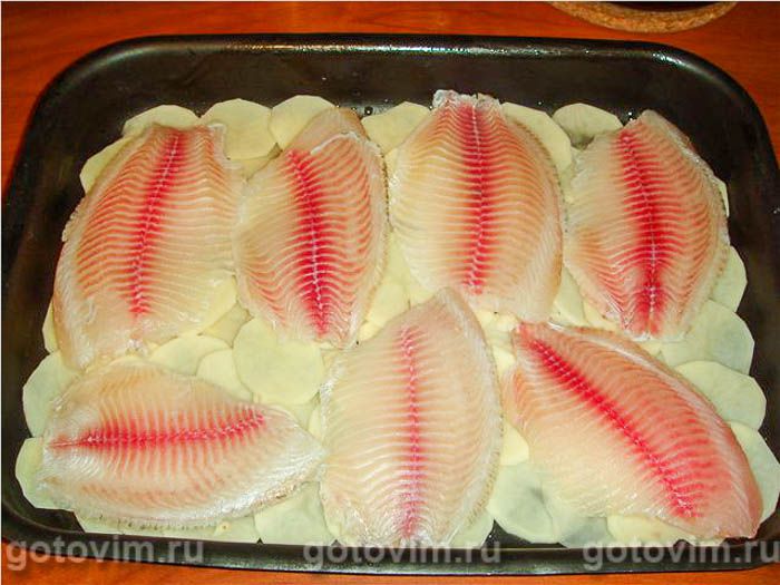 ������������ ��������� � ����� , ��� 02