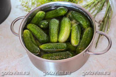 Малосольные огурцы со сладким перцем, Шаг 01