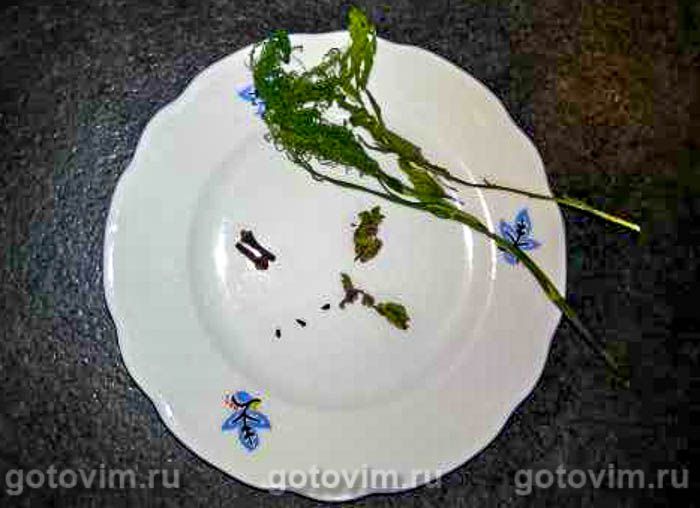 ���� ������� � ����������� , ��� 02