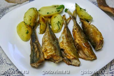 Ставрида жареная 