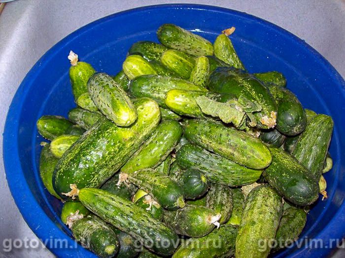 ��������������� ������, ��� 01