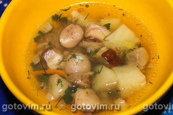Суп гречневый с маслятами и белыми грибами. Фотография рецепта