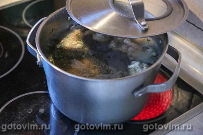 ��� � ��������� � ������������� �������, ��� 02