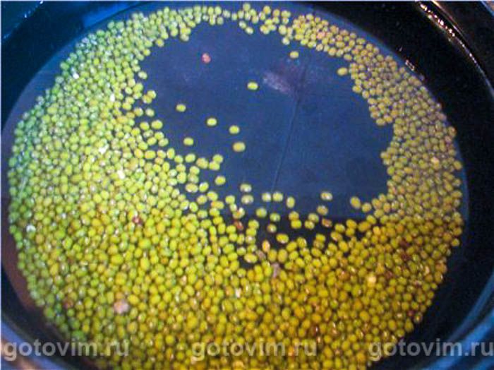 ������ ��� � ����� � �������� ������, ��� 01