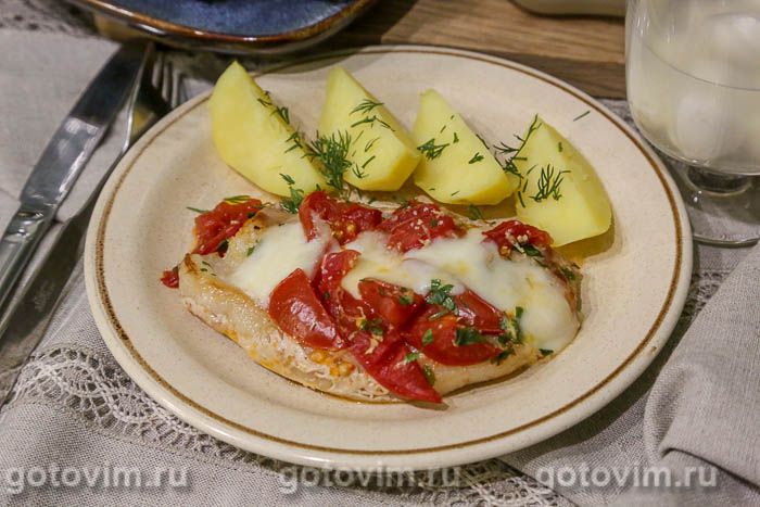 ������ ��������, ���������� � ����������� � ���������� � ����������. ���������� �������