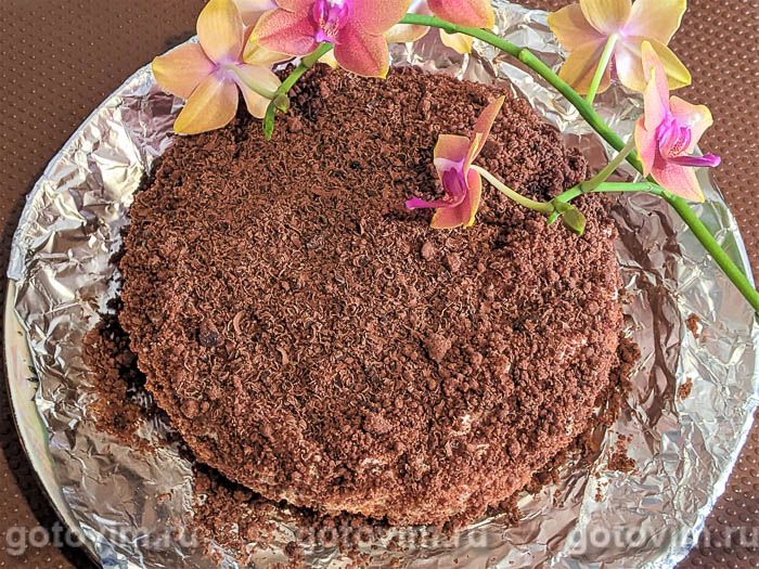 Торт без выпечки с шоколадным тестом и сметаной на желатине. Фотография рецепта
