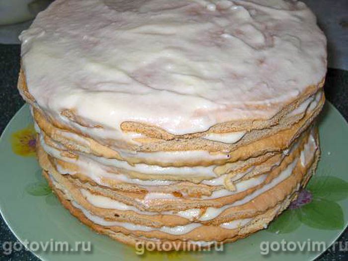 ���� �������, ��� 08