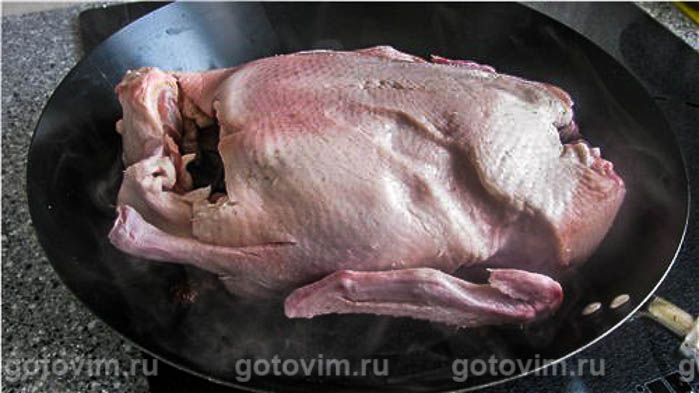 ���� ��-��������, ��� 01