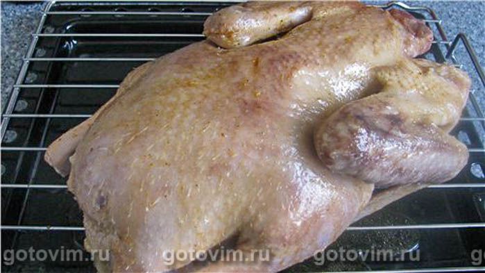 ���� ��-��������, ��� 03