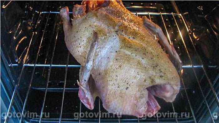 ���� ��-��������, ��� 04