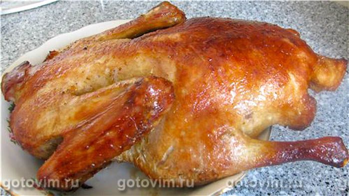 ���� ��-��������, ��� 05