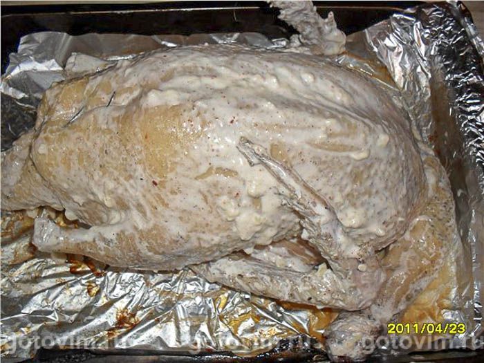 ���� � �������� � �����������, ��� 03