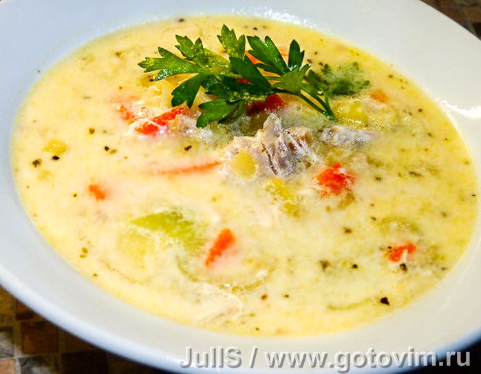 Ватерзой с курицей - куриный суп со сливками (Gentse Waterzooi). Фотография рецепта