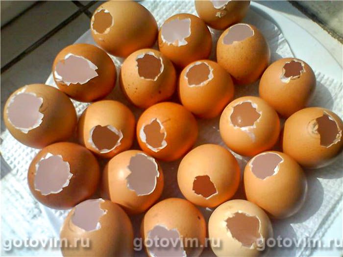 ���� ������� , ��� 05