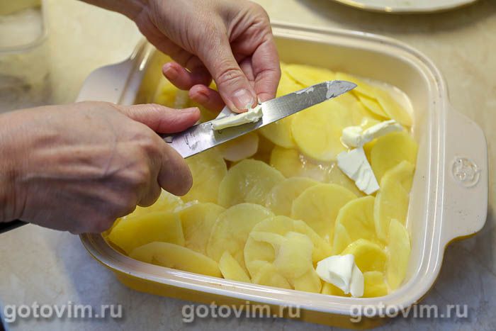 ������������ ��������� � ���� �����, ��� 11