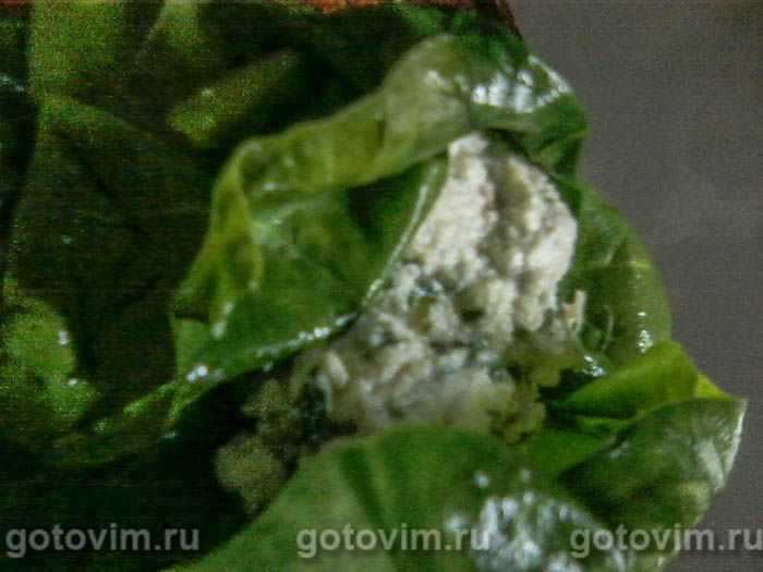 ������ ����������� (�������� � ��������� �������� � �������� �����), ��� 03