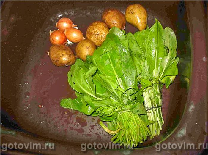 ������� �� , ��� 01