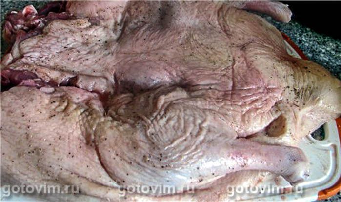 ������� ���� , ��� 01