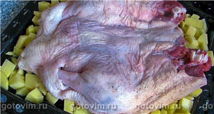 ������� ���� , ��� 02