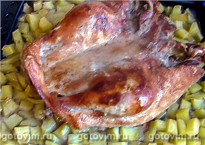 ������� ���� , ��� 03