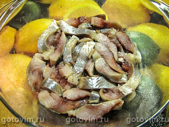 ������ ��� ����� �����, ��� 01