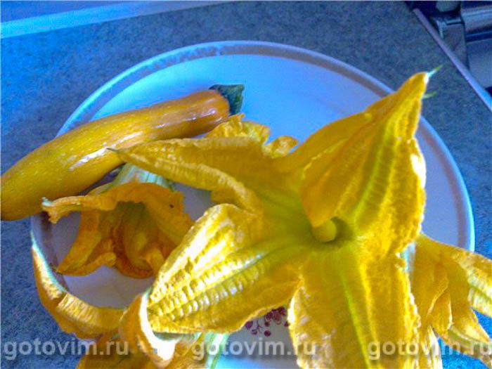     (Fiori di zucca),  01