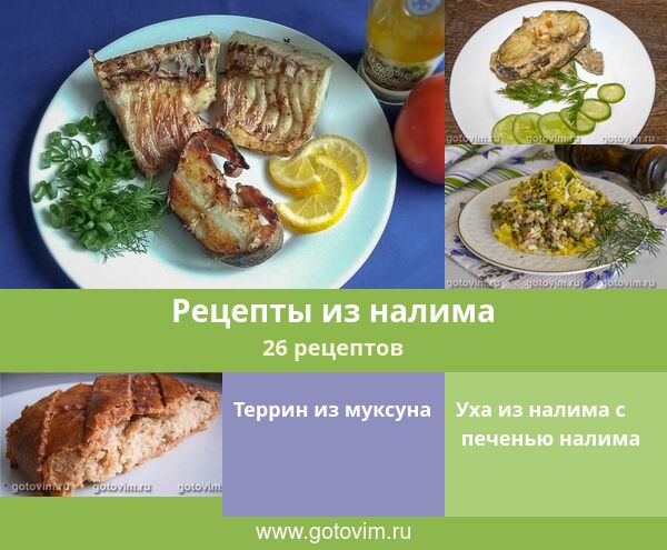 Рецепты из налима, 27 рецептов, фото-рецепты