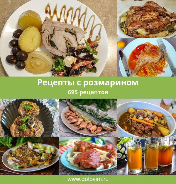 Розмарин рецепты. Розмарин рецепты